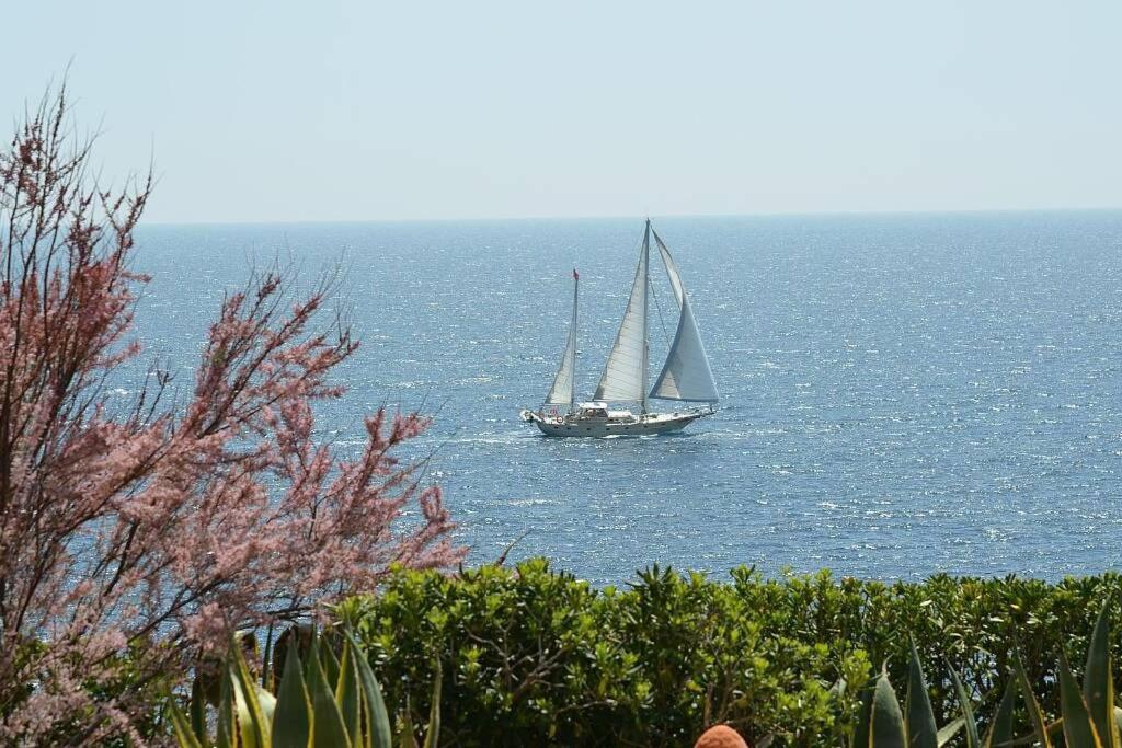 Villa Vallgornera Палма де Майорка Екстериор снимка