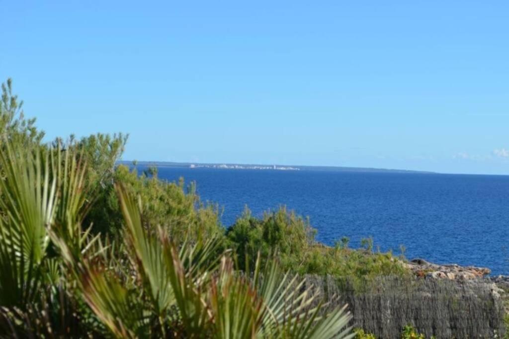 Villa Vallgornera Палма де Майорка Екстериор снимка